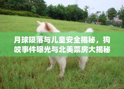 月球陨落与儿童安全揭秘,狗咬事件曝光与北美票房大揭秘