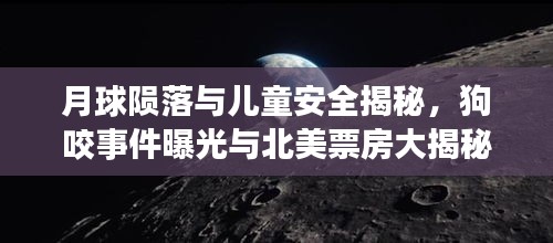 月球陨落与儿童安全揭秘,狗咬事件曝光与北美票房大揭秘