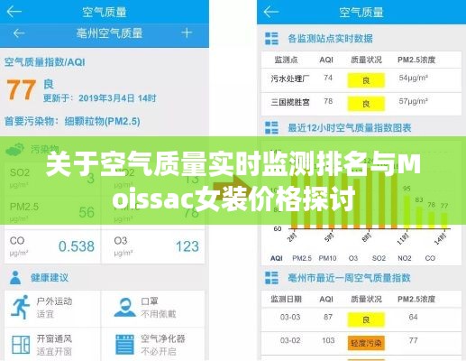 关于空气质量实时监测排名与Moissac女装价格探讨