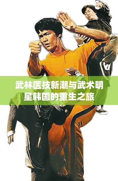 武林医技新潮与武术明星韩国的重生之旅