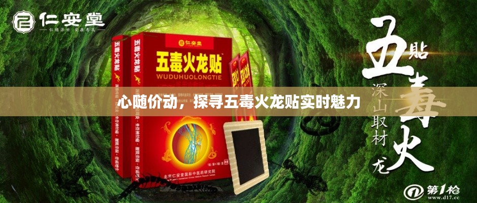 心随价动,探寻五毒火龙贴实时魅力