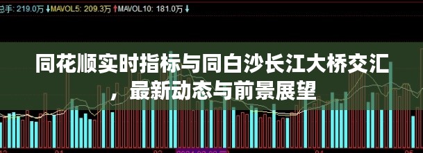 同花顺实时指标与同白沙长江大桥交汇,最新动态与前景展望