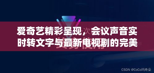 爱奇艺精彩呈现,会议声音实时转文字与最新电视剧的完美结合
