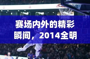 赛场内外的精彩瞬间,2014全明星直播与官路弯弯最新章节回顾