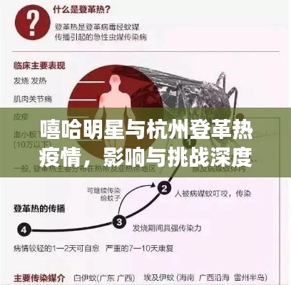 嘻哈明星与杭州登革热疫情,影响与挑战深度解析