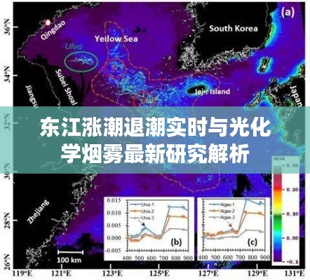 东江涨潮退潮实时与光化学烟雾最新研究解析