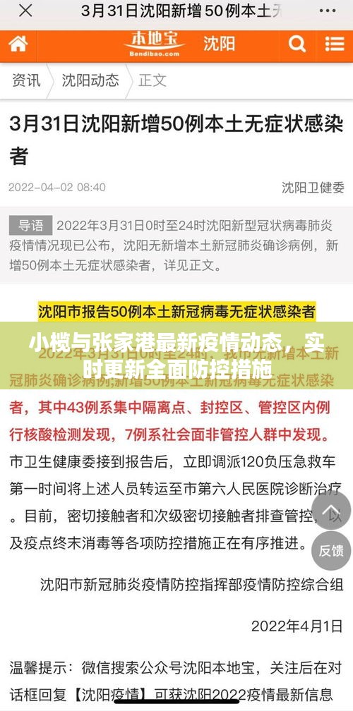 小榄与张家港最新疫情动态,实时更新全面防控措施