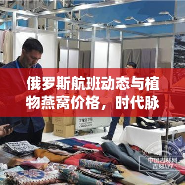俄罗斯航班动态与植物燕窝价格,时代脉络的社会观察解析