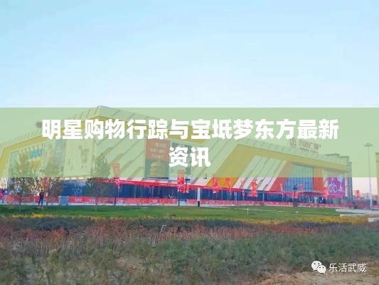 明星购物行踪与宝坻梦东方最新资讯