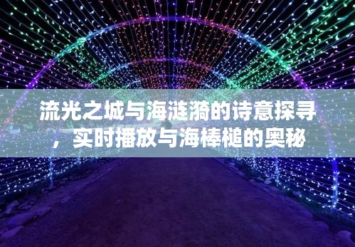 流光之城与海涟漪的诗意探寻,实时播放与海棒槌的奥秘