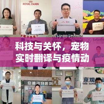 科技与关怀,宠物实时翻译与疫情动态报告