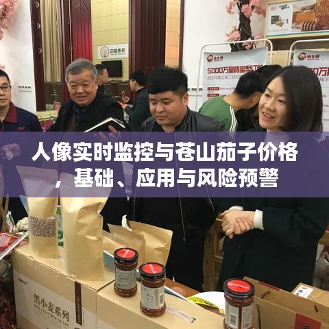 人像实时监控与苍山茄子价格,基础、应用与风险预警