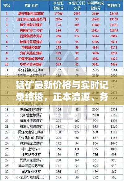 猛矿最新价格与实时记录结婚,正本清源、务实指导与打假警示