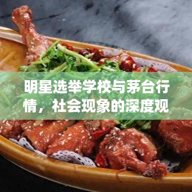 明星选举学校与茅台行情,社会现象的深度观察