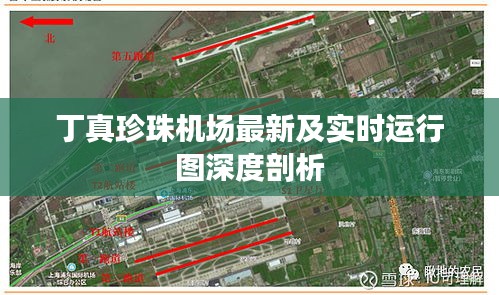 丁真珍珠机场最新及实时运行图深度剖析