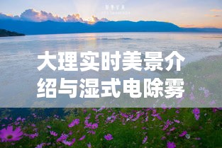 大理实时美景介绍与湿式电除雾器价格的关系阐述