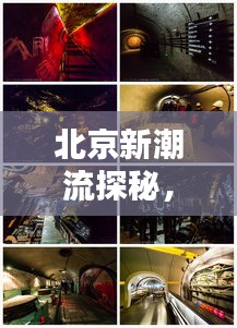 北京新潮流探秘,418与209实时动态揭秘