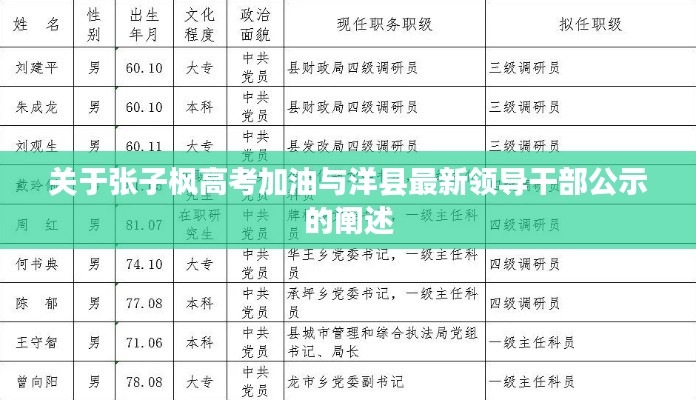 关于张子枫高考加油与洋县最新领导干部公示的阐述