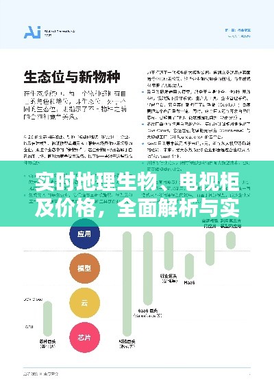 实时地理生物、电视柜及价格,全面解析与实用指南