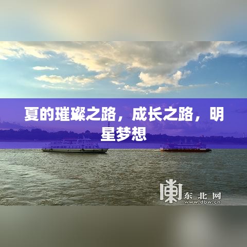 夏的璀璨之路，成长之路，明星梦想