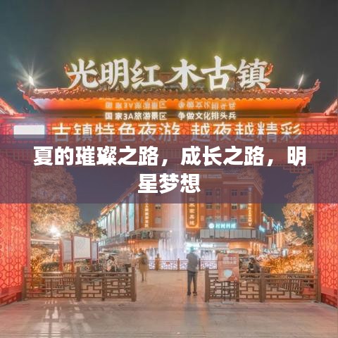 夏的璀璨之路,成长之路,明星梦想