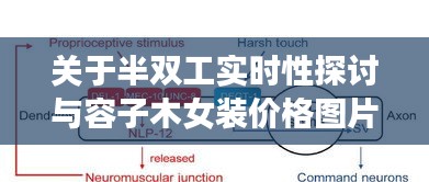 心得分享 第15页