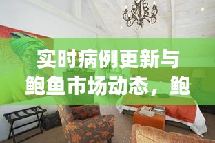 实时病例更新与鲍鱼市场动态，鲍鱼市场最新行情分析（2017年）