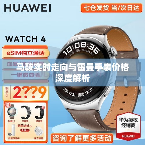 马鞍实时走向与雷曼手表价格深度解析