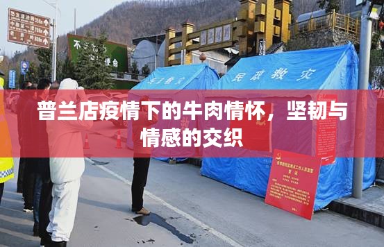 普兰店疫情下的牛肉情怀,坚韧与情感的交织
