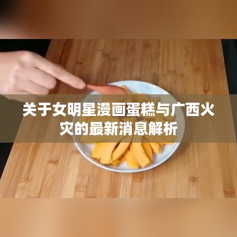 关于女明星漫画蛋糕与广西火灾的最新消息解析