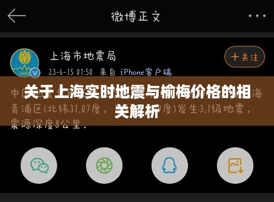 关于上海实时地震与榆梅价格的相关解析