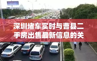深圳堵车实时与曹县二手房出售最新信息的关联解析