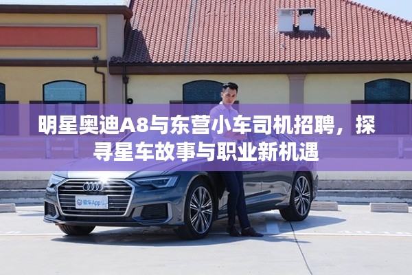 明星奥迪A8与东营小车司机招聘,探寻星车故事与职业新机遇