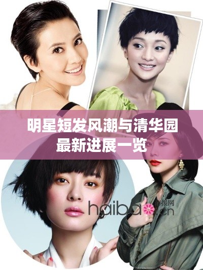 明星短发风潮与清华园最新进展一览
