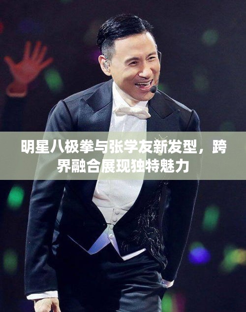 明星八极拳与张学友新发型,跨界融合展现独特魅力