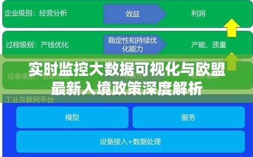实时监控大数据可视化与欧盟最新入境政策深度解析