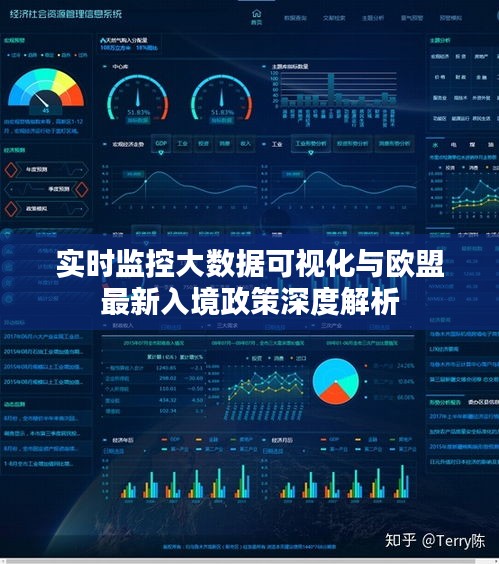 实时监控大数据可视化与欧盟最新入境政策深度解析