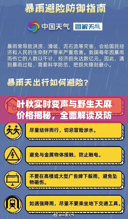 叶秋实时变声与野生天麻价格揭秘，全面解读及防范虚假宣传