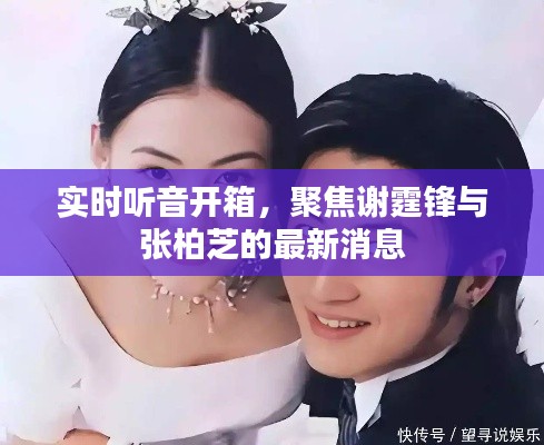 实时听音开箱,聚焦谢霆锋与张柏芝的最新消息