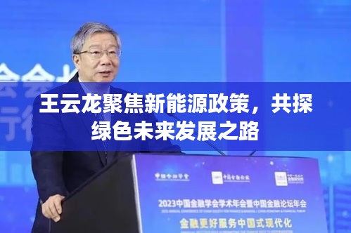 王云龙聚焦新能源政策,共探绿色未来发展之路