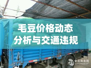 毛豆价格动态分析与交通违规查询服务研究——以邳州为例,地域性市场分析与应用服务探讨