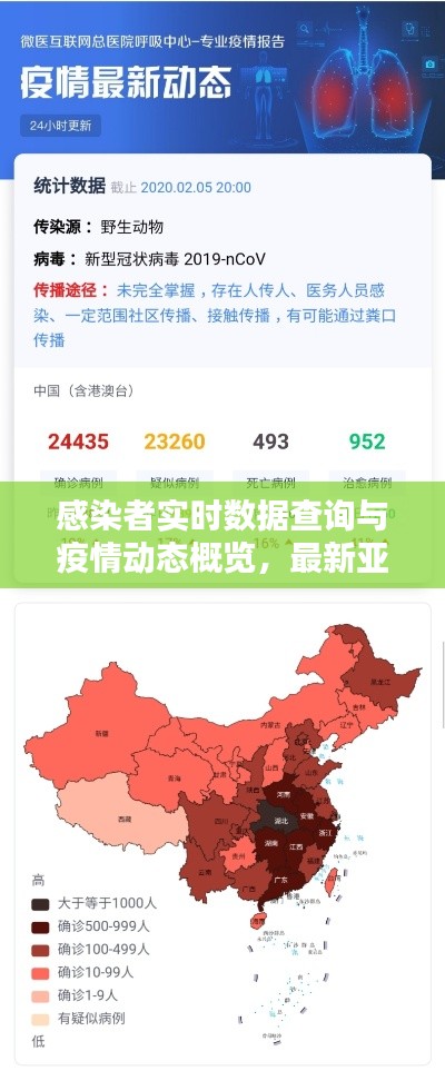 感染者实时数据查询与疫情动态概览,最新亚洲龙疫情信息一览