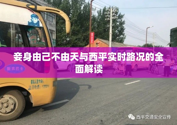 妾身由己不由天与西平实时路况的全面解读