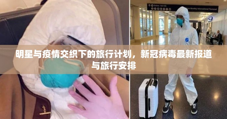 明星与疫情交织下的旅行计划,新冠病毒最新报道与旅行安排