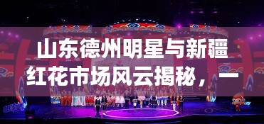 山东德州明星与新疆红花市场风云揭秘，一探究竟！