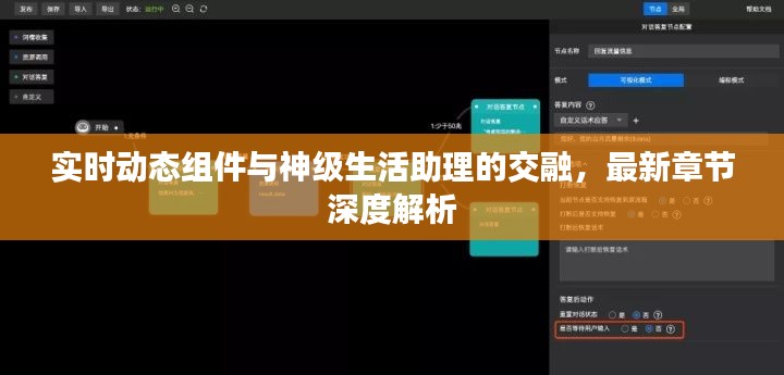 实时动态组件与神级生活助理的交融,最新章节深度解析