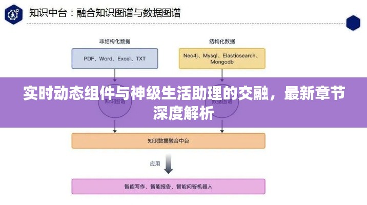 实时动态组件与神级生活助理的交融,最新章节深度解析