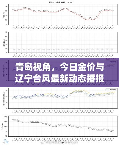 青岛视角,今日金价与辽宁台风最新动态播报(6月19日)