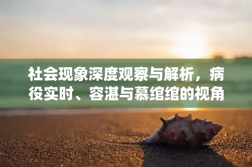 社会现象深度观察与解析,病役实时、容湛与慕绾绾的视角