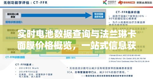 实时电池数据查询与法兰琳卡面膜价格概览,一站式信息获取服务